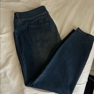 TORRID Classic Blue Women's Jeans